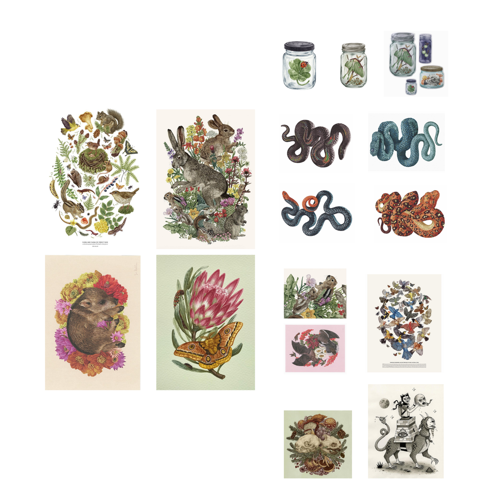 Vintage natural history printable pages featuring woodland animals, birds, snakes, insects and botanical illustrations