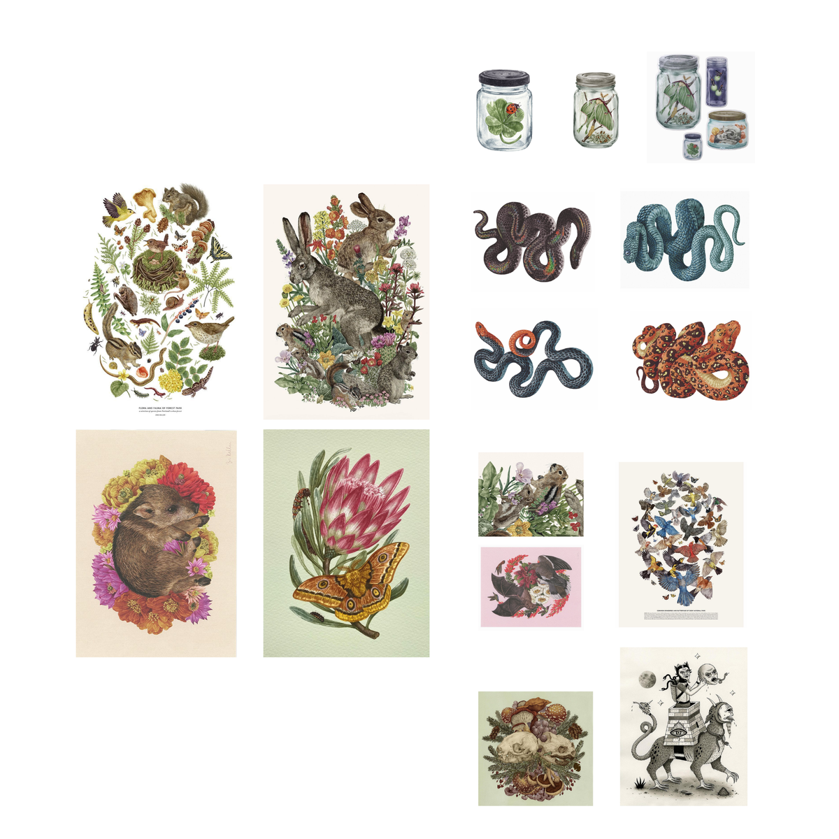 Vintage natural history printable pages featuring woodland animals, birds, snakes, insects and botanical illustrations