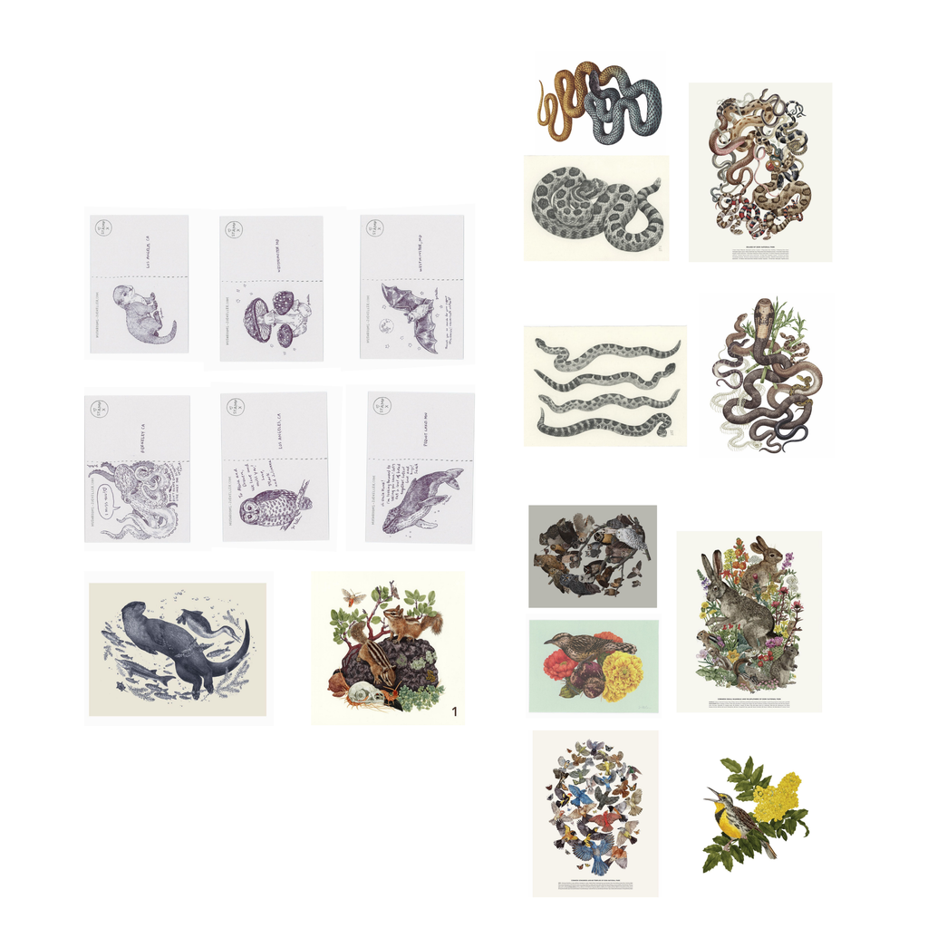 Natural history junk journal printables with vintage wildlife, birds, rabbits, flowers, moths and animal illustrations
