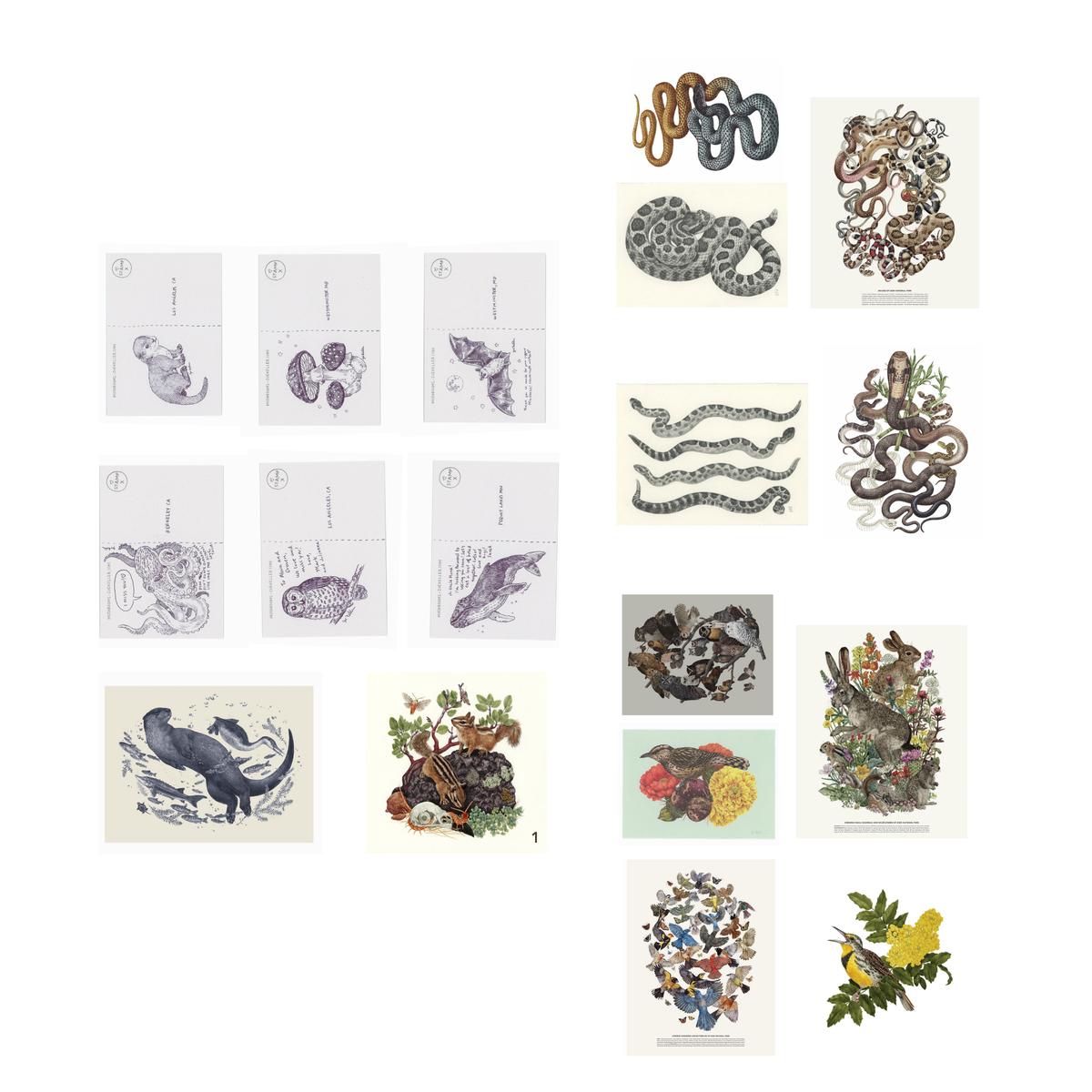 Natural history junk journal printables with vintage wildlife, birds, rabbits, flowers, moths and animal illustrations